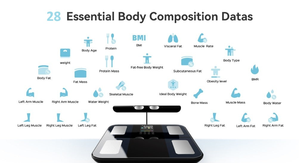 A digital body composition scale is shown on a white background with numerous blue icons and labels related to body measurements and health indicators, under the heading '28 Essential Body Composition Datas'.
